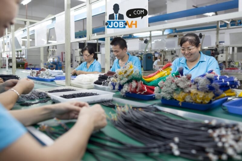 Factory line Worker Jobs in Qatar 2026