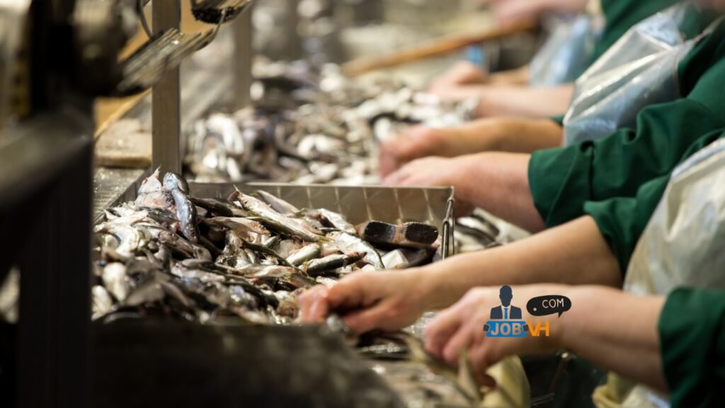 Fish Plant Worker Jobs in Canada