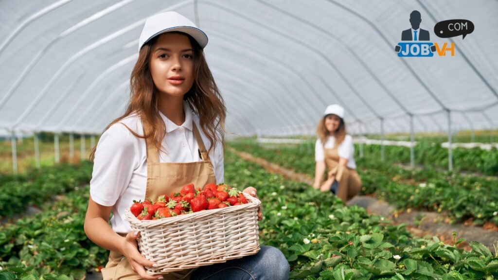 Fruit Farm Worker Jobs in Canada